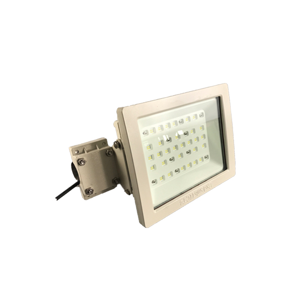 MS971-L100 LED防爆路燈 
